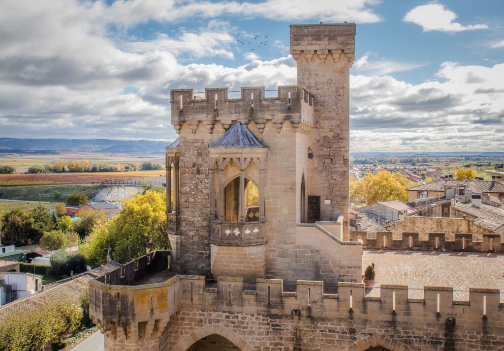 castillo-olite