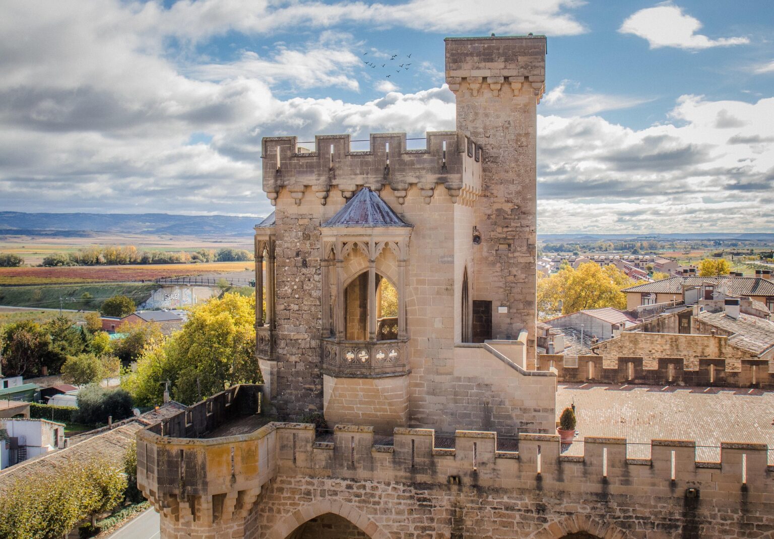castillo-olite Torreón castillo de Olite
