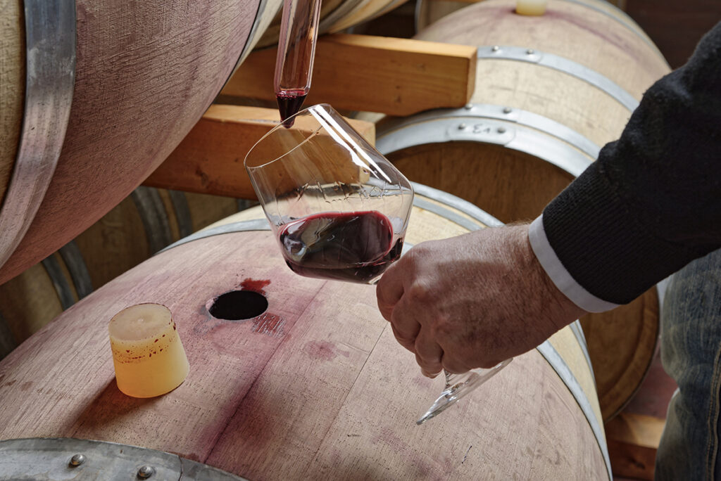 cata-de-vino