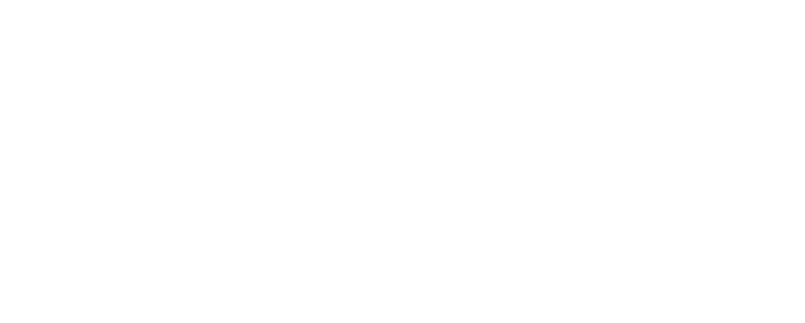 Logo Mir Baskov